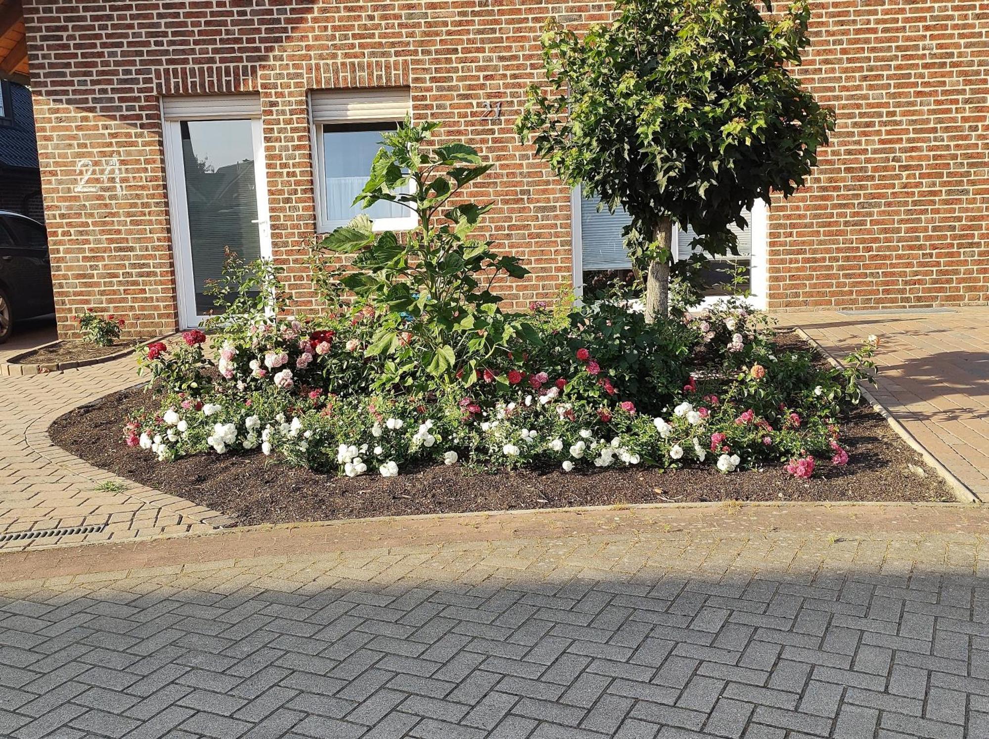 Fewo Holunderbusch Saerbeck ภายนอก รูปภาพ
